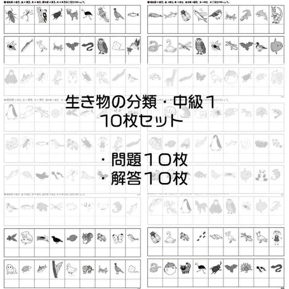 60ba9a3d4899213ffd8beae0