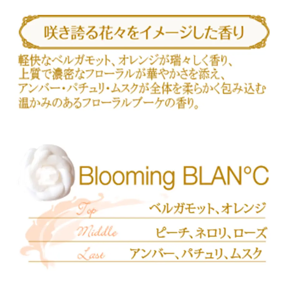 6177cdf51bfe190ee28b7cb9