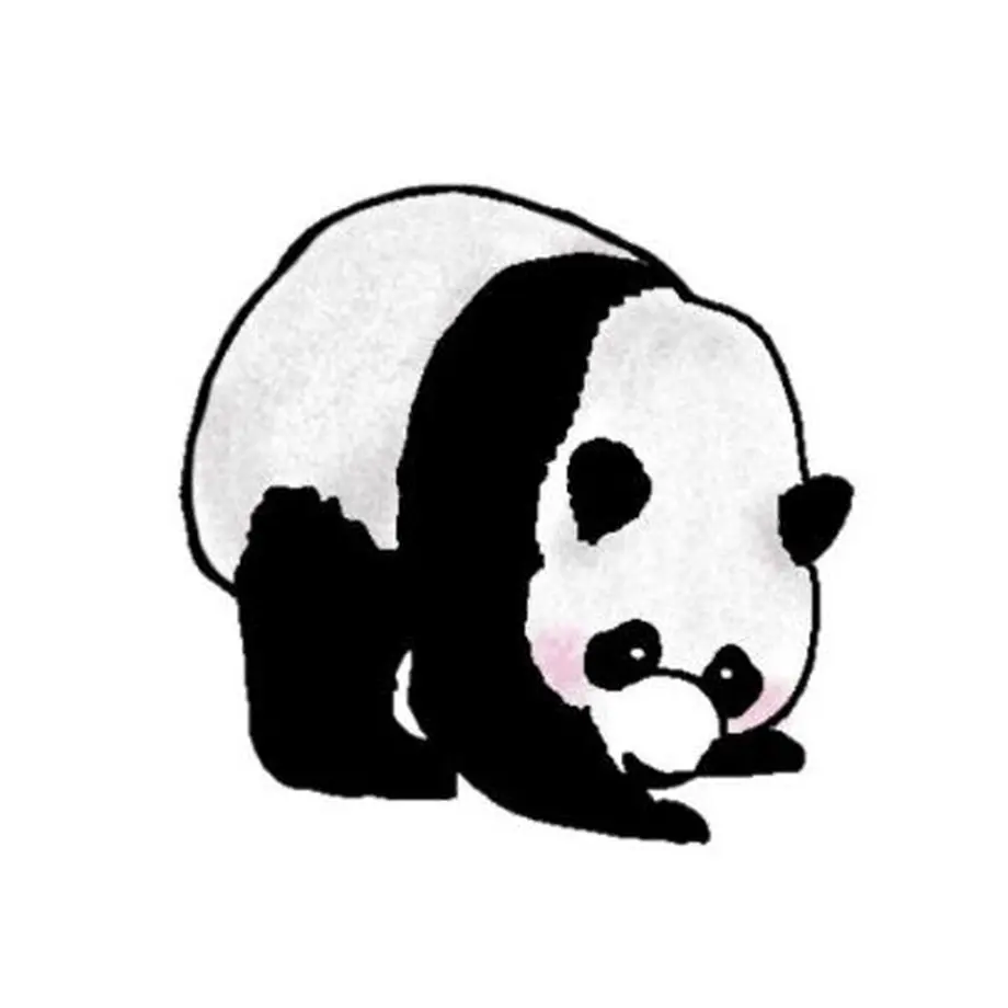 イラスト パンダ Cosyatte S Store
