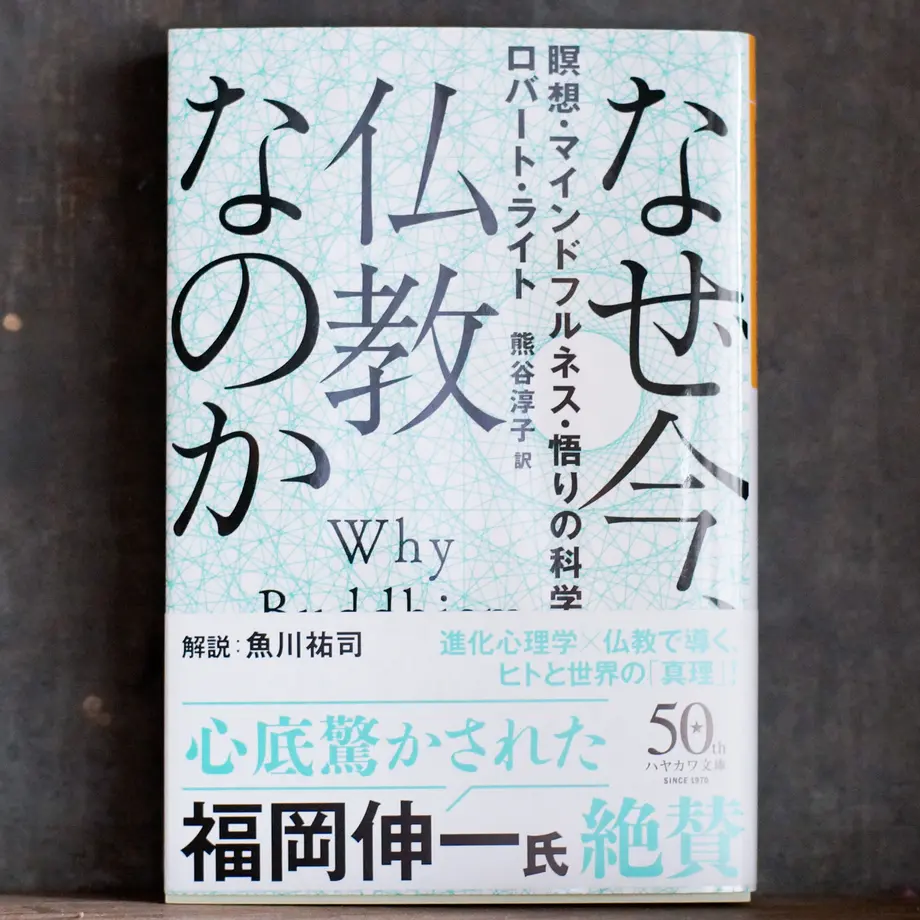 5f64368d93f6197444e6a91b