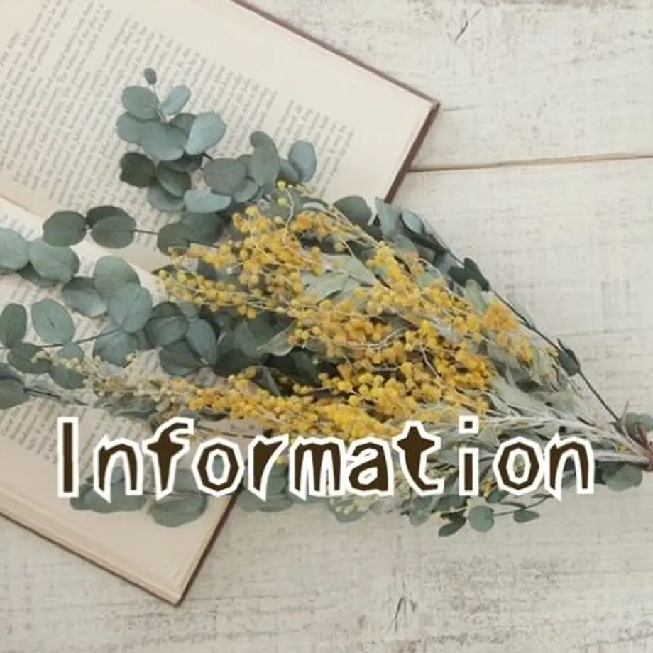 5c48201d8b958577fa9e9152