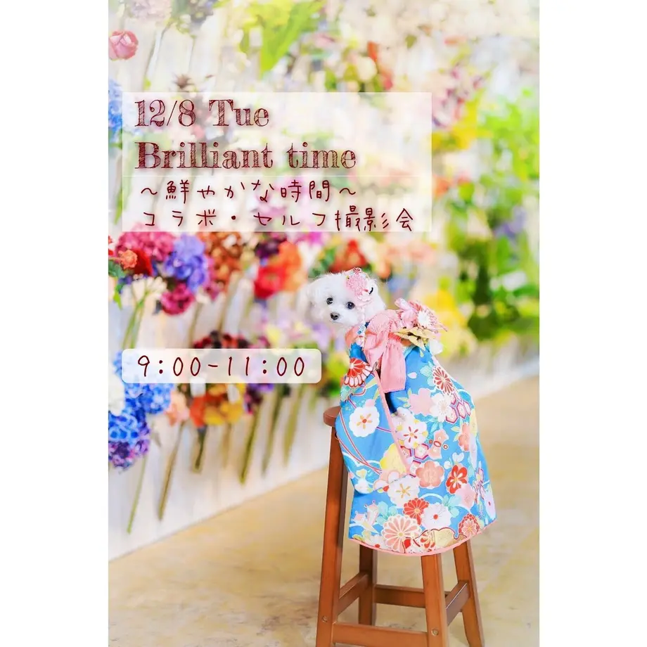 5f97892b9a06e5731242acc0