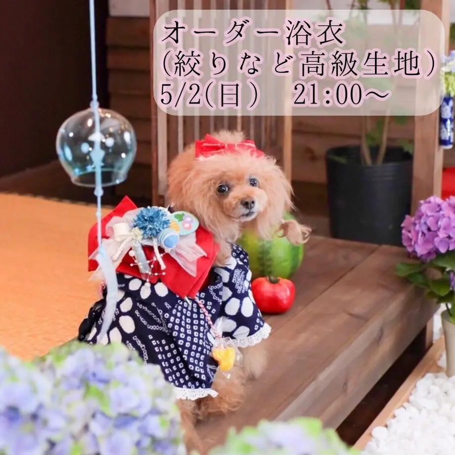 608a62bf047a9d1b1d2a157f
