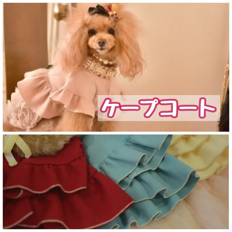 61a084b53475ed25687cb3a0