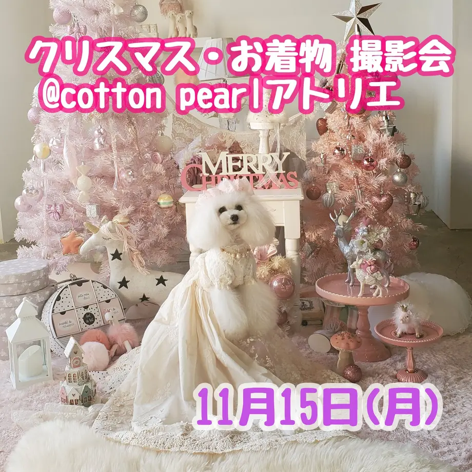 61696e0d0c984659bbc4998c