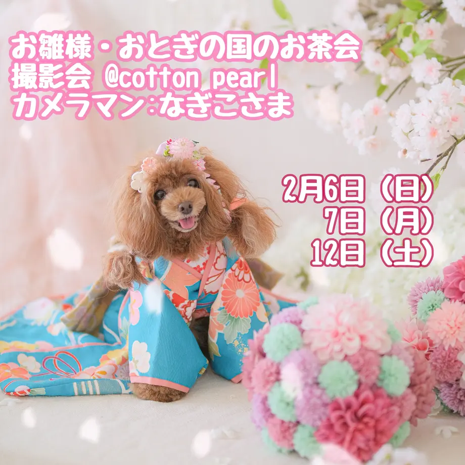 61dd7938110dda6ce14f4198