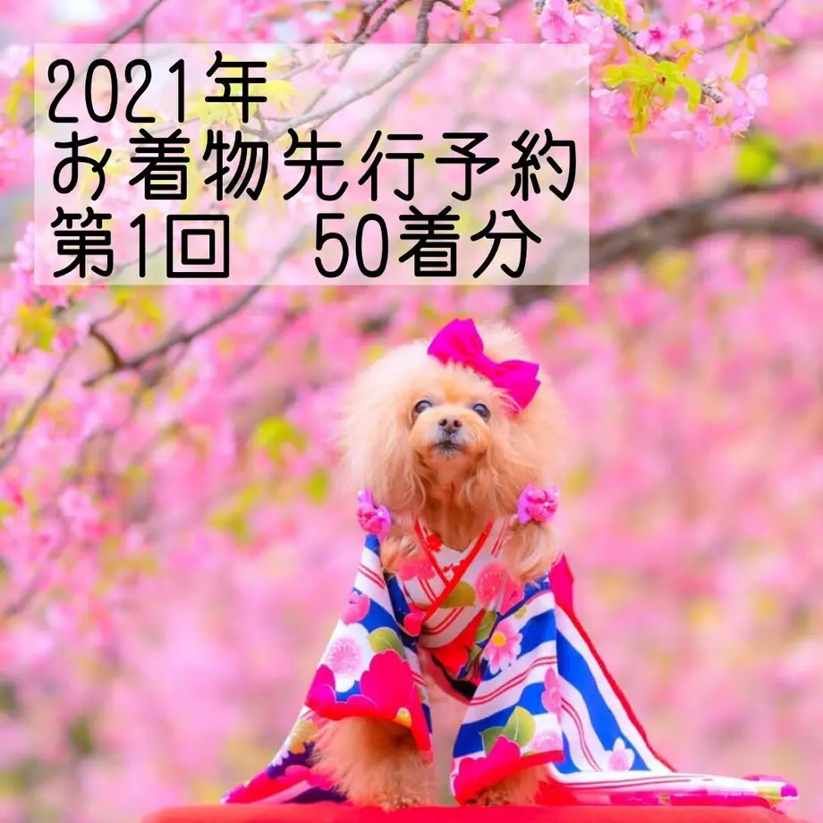 5ff95520da019c2dccfe9529