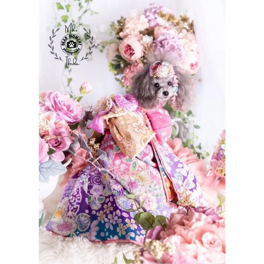 60517a79fda3602c60f9ac70