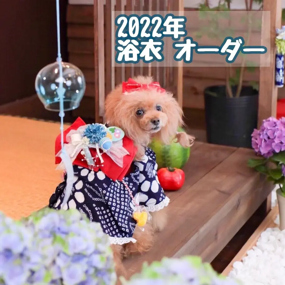 6231a1412cf73d0609e0b7a3
