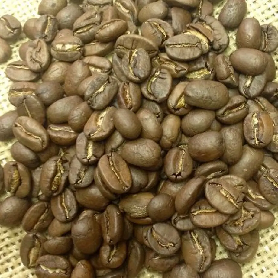 56dd37033bcba9688100b1ae