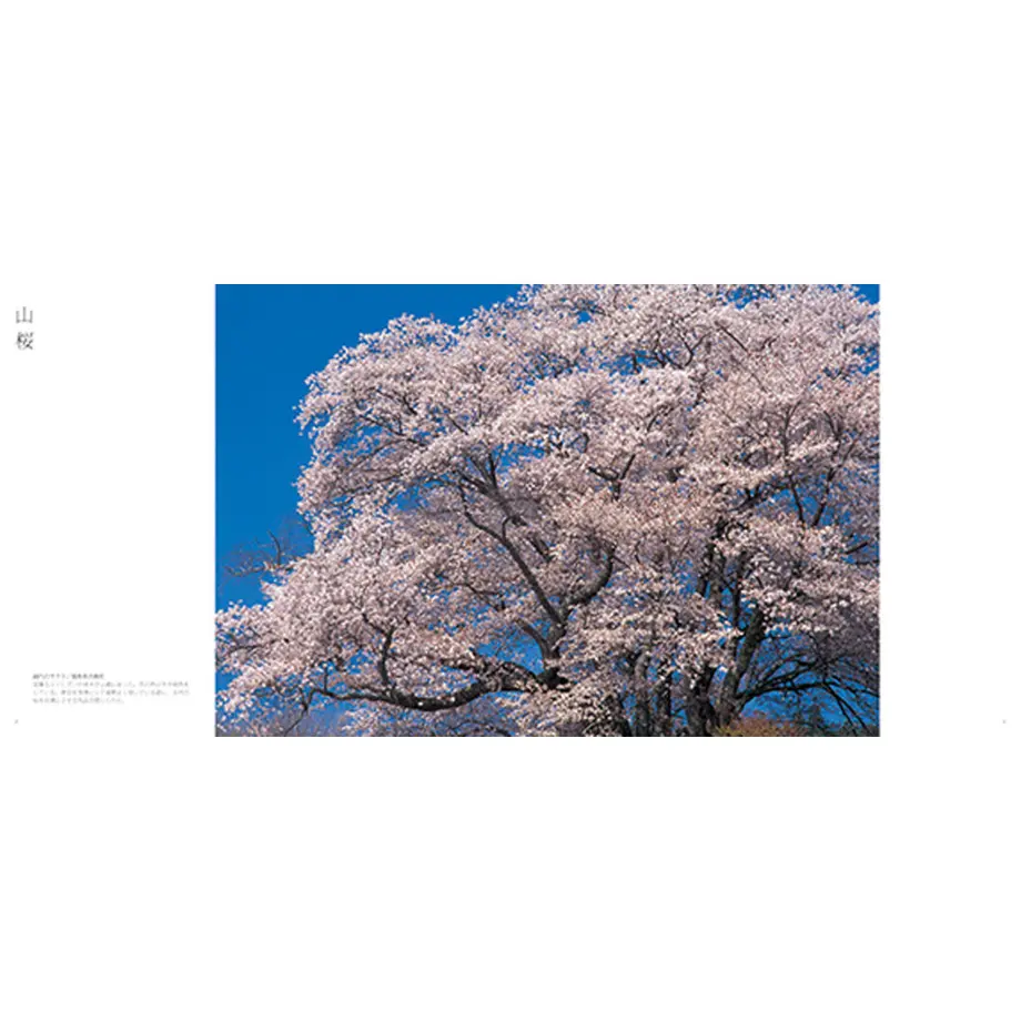 60c3074ae9ccb25c332aac29