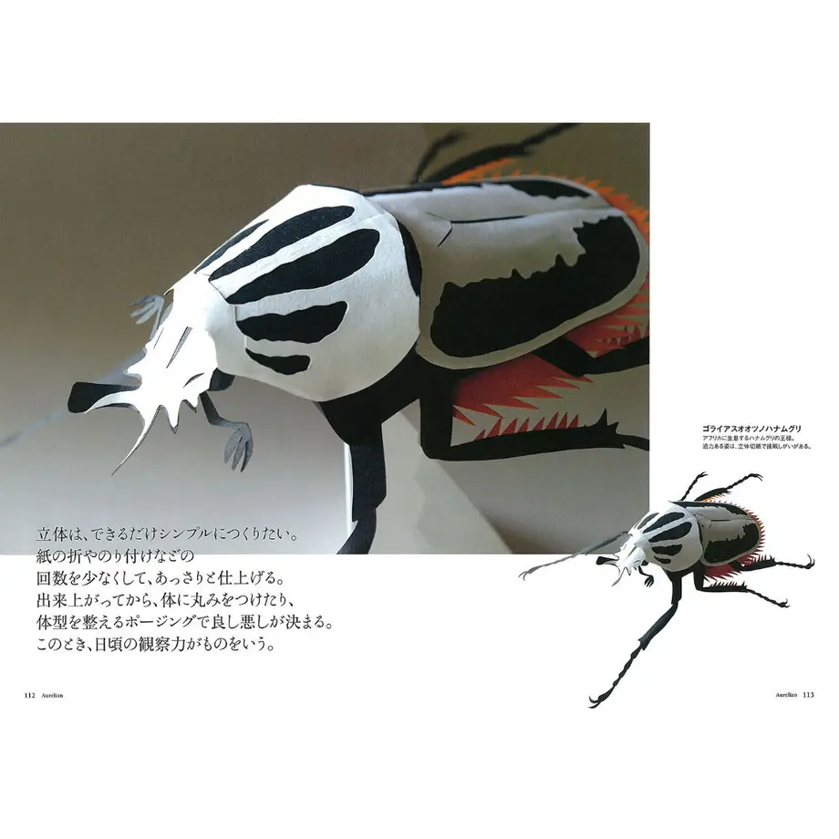 60c1a1f1b5285a613dc1725b