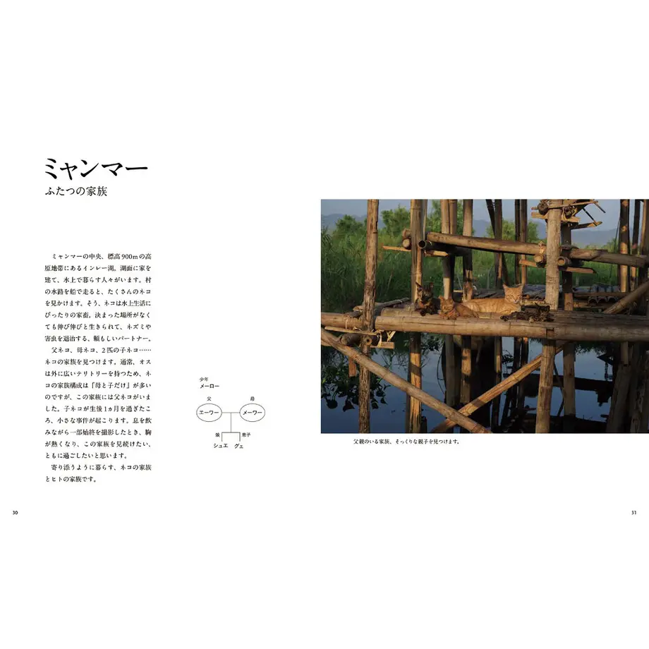 60c2cb262bf90173913c535a