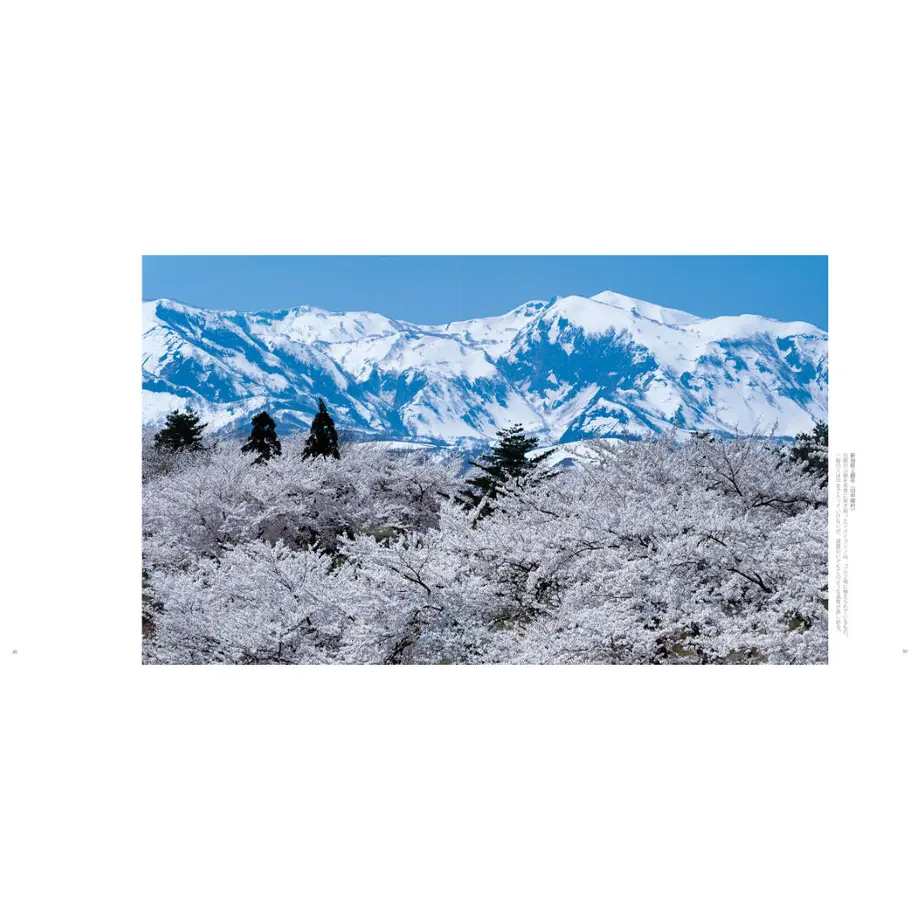 60c3074ae9ccb25c332aac29