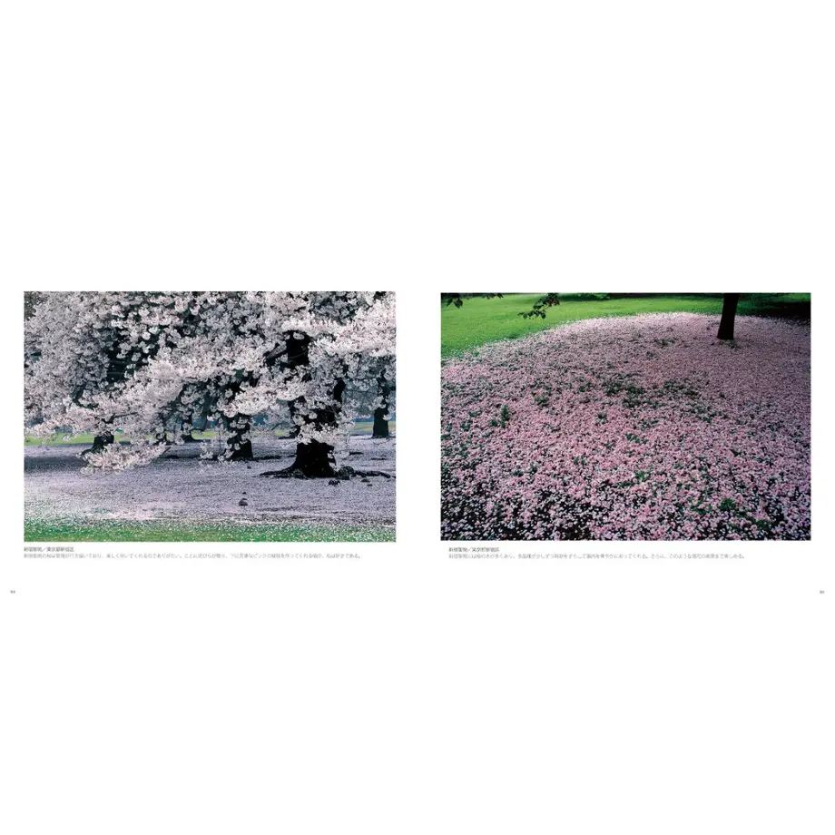 60c3074ae9ccb25c332aac29