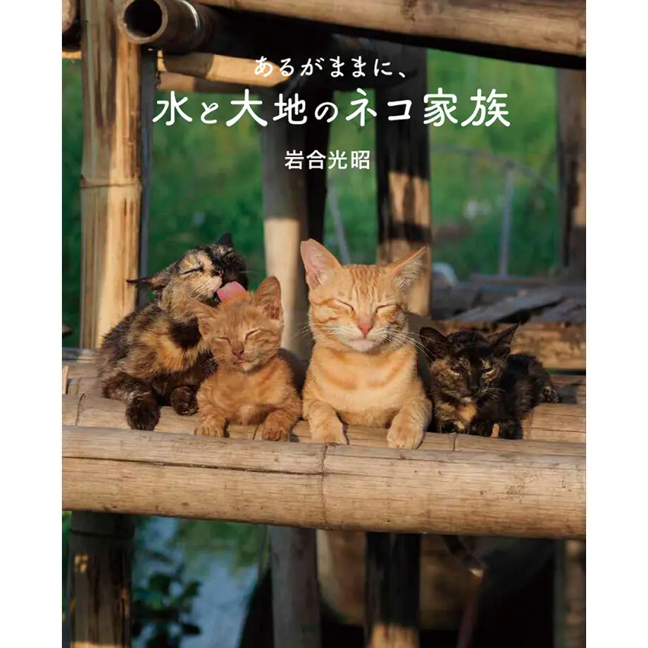 60c2cb262bf90173913c535a