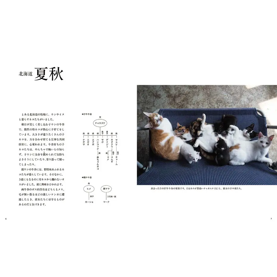 60c2cb262bf90173913c535a
