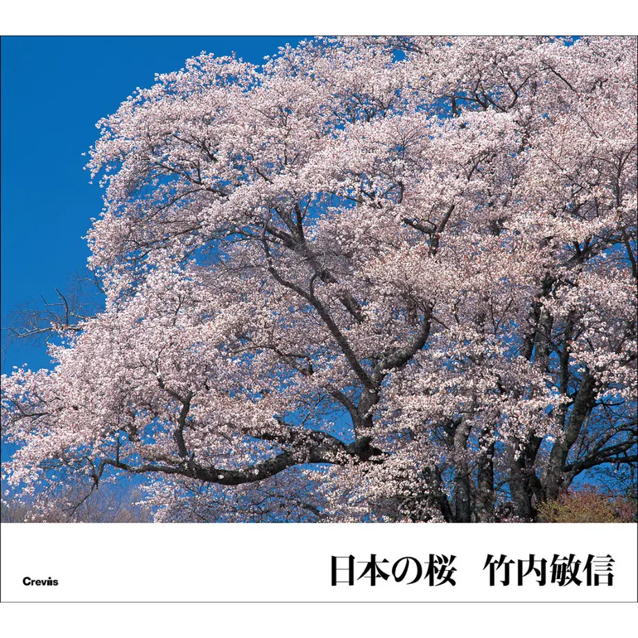 60c3074ae9ccb25c332aac29