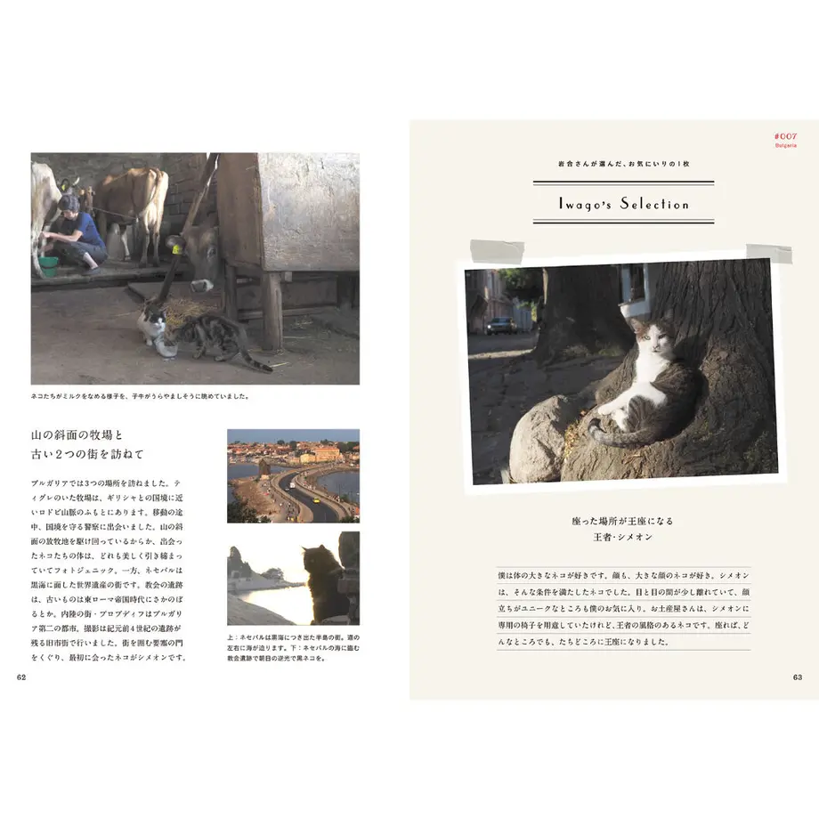60c2d70d91260a7a714fc38a