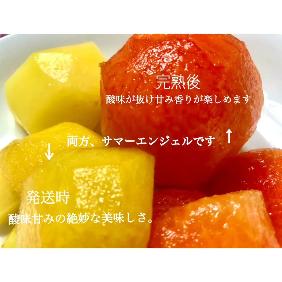 60e171a0ec877118e18a18d2