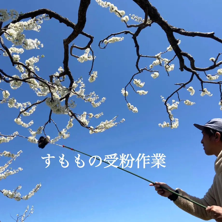 60e171a0ec877118e18a18d2