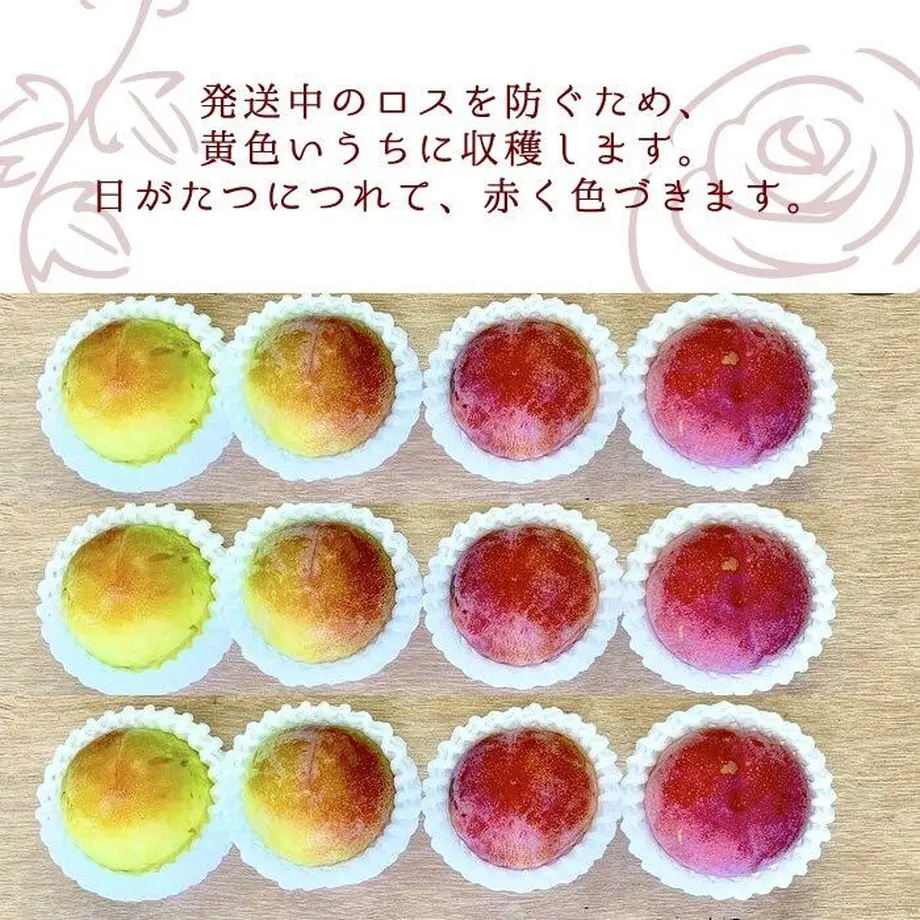 60e171a0ec877118e18a18d2