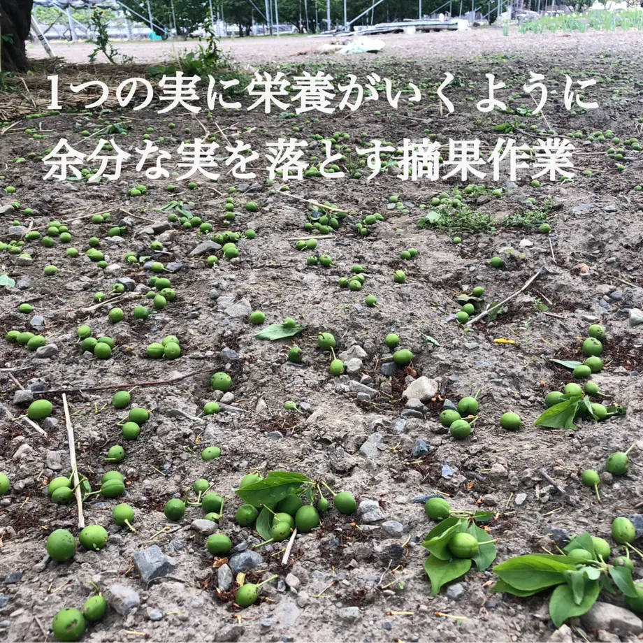 60e171a0ec877118e18a18d2