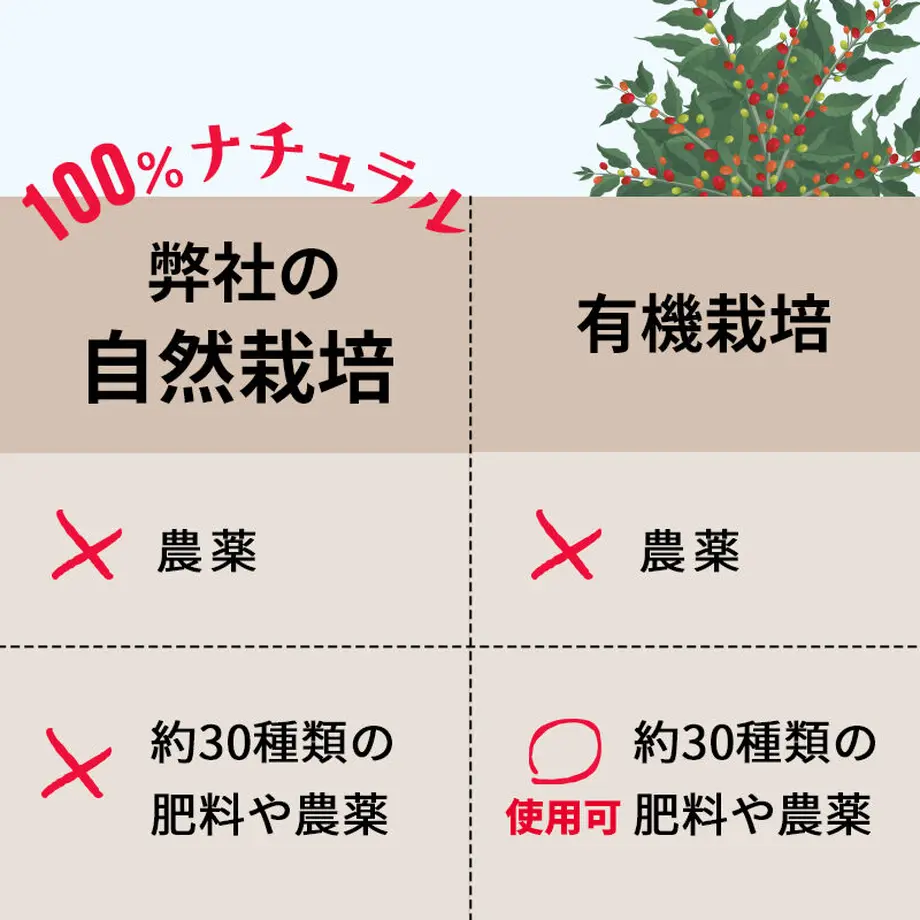 6117cdf6a92a7835a0ed66be