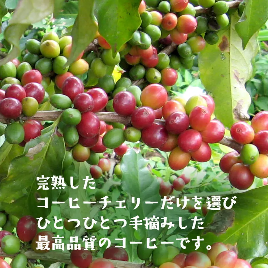 61169c420f9a2271653763f8