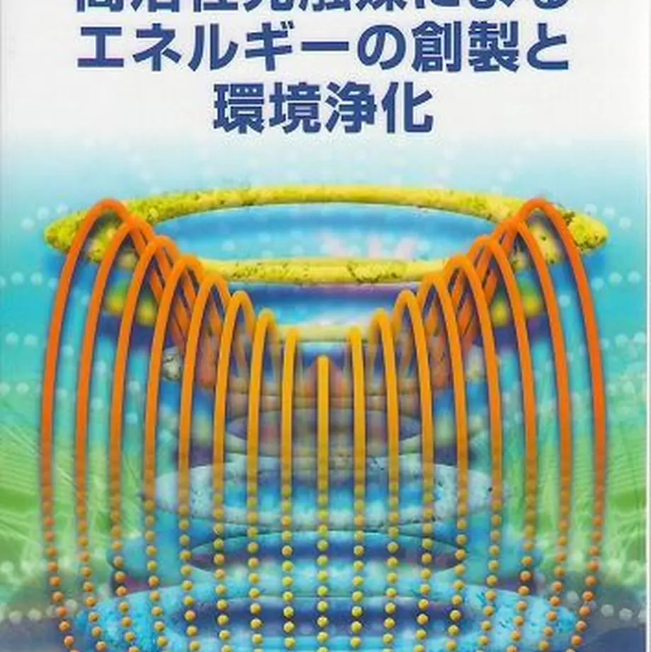 5ead2b7a72b91106ac572ff3