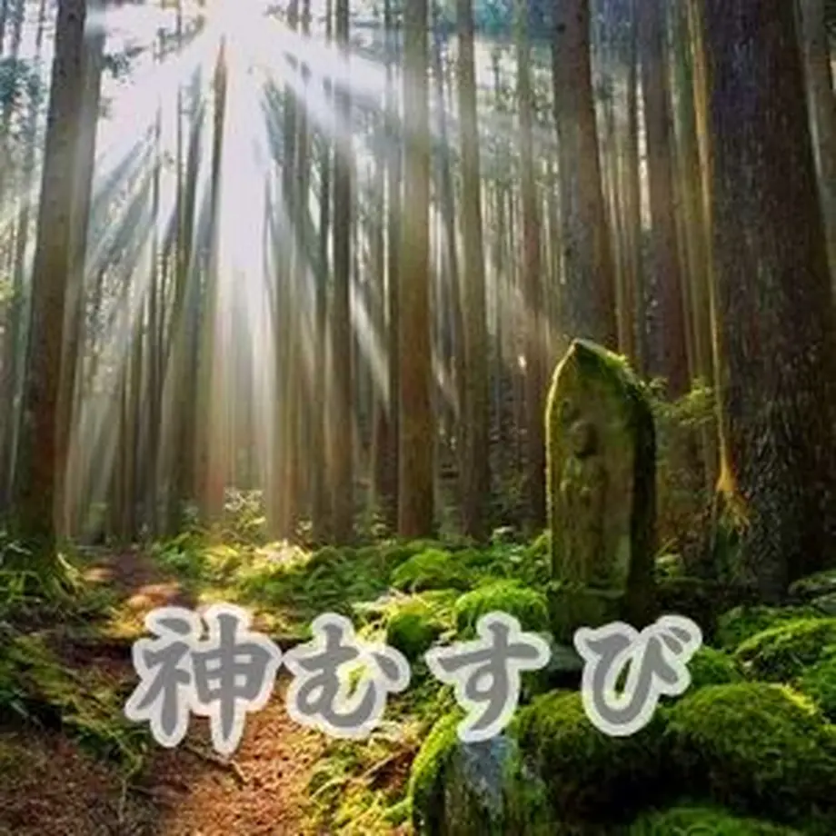 5f9ac2b672eb464fbc3fd013