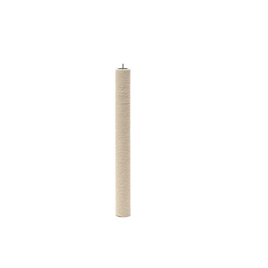 6001245f72eb46331eb55ae3