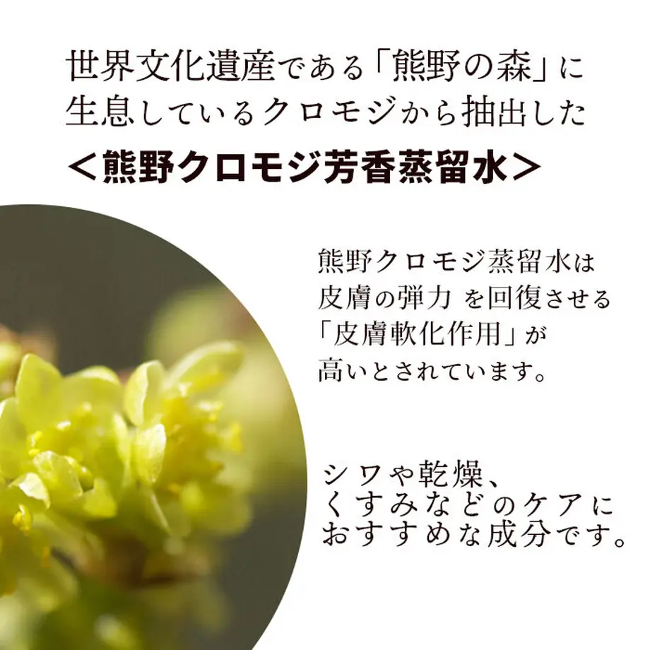 5edf278172b91161f546799b