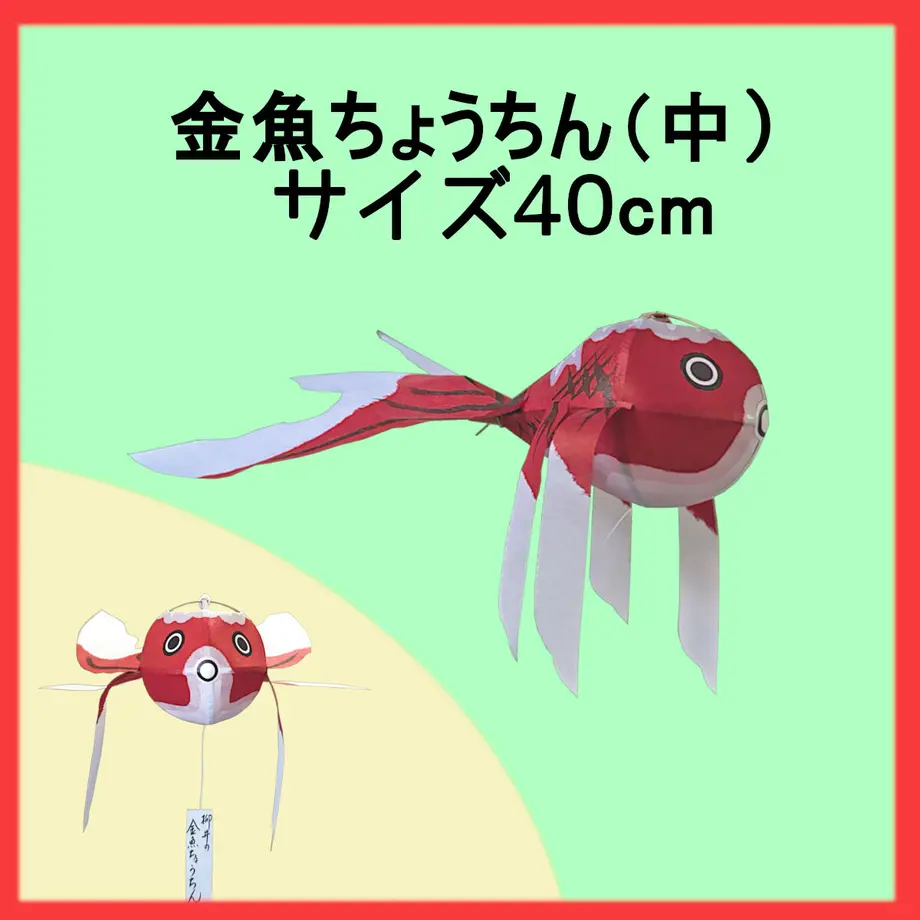 62b667b2c359a87d57afe473