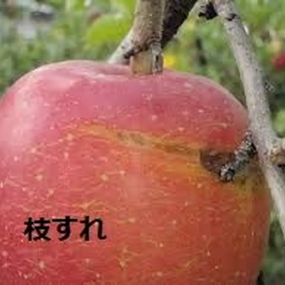 5fa215c9df51596282c7f19b