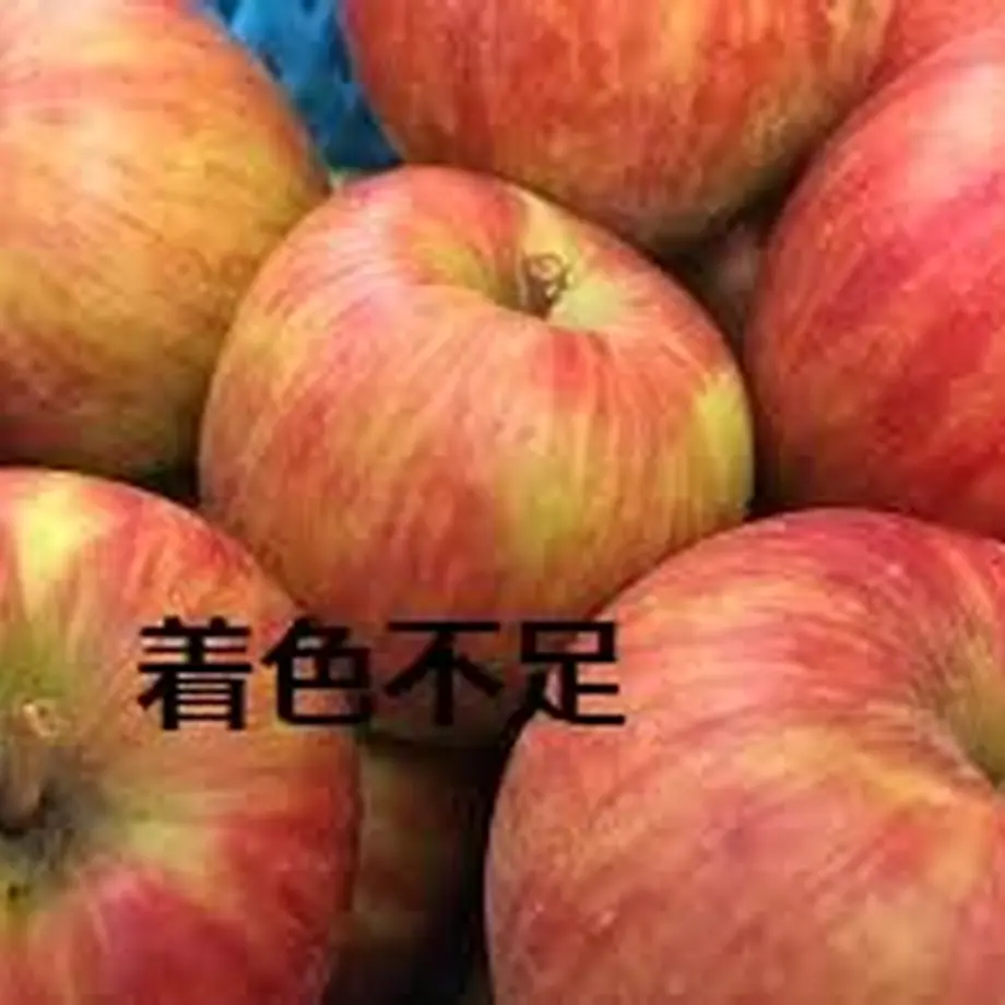 5fa215c9df51596282c7f19b