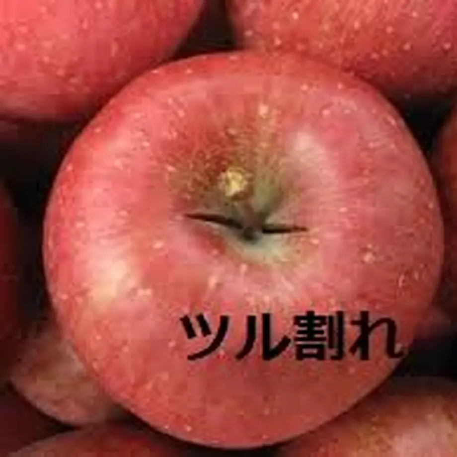 5fa215c9df51596282c7f19b