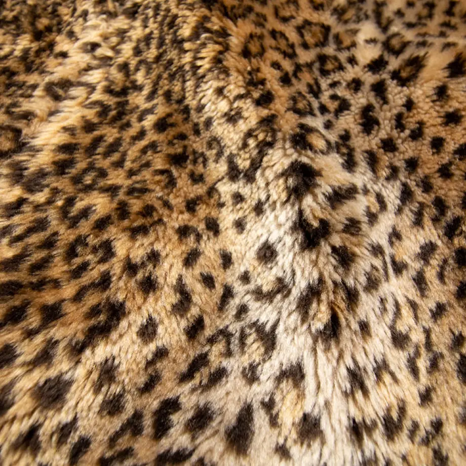 5c425d5527b44e0ace05cef7
