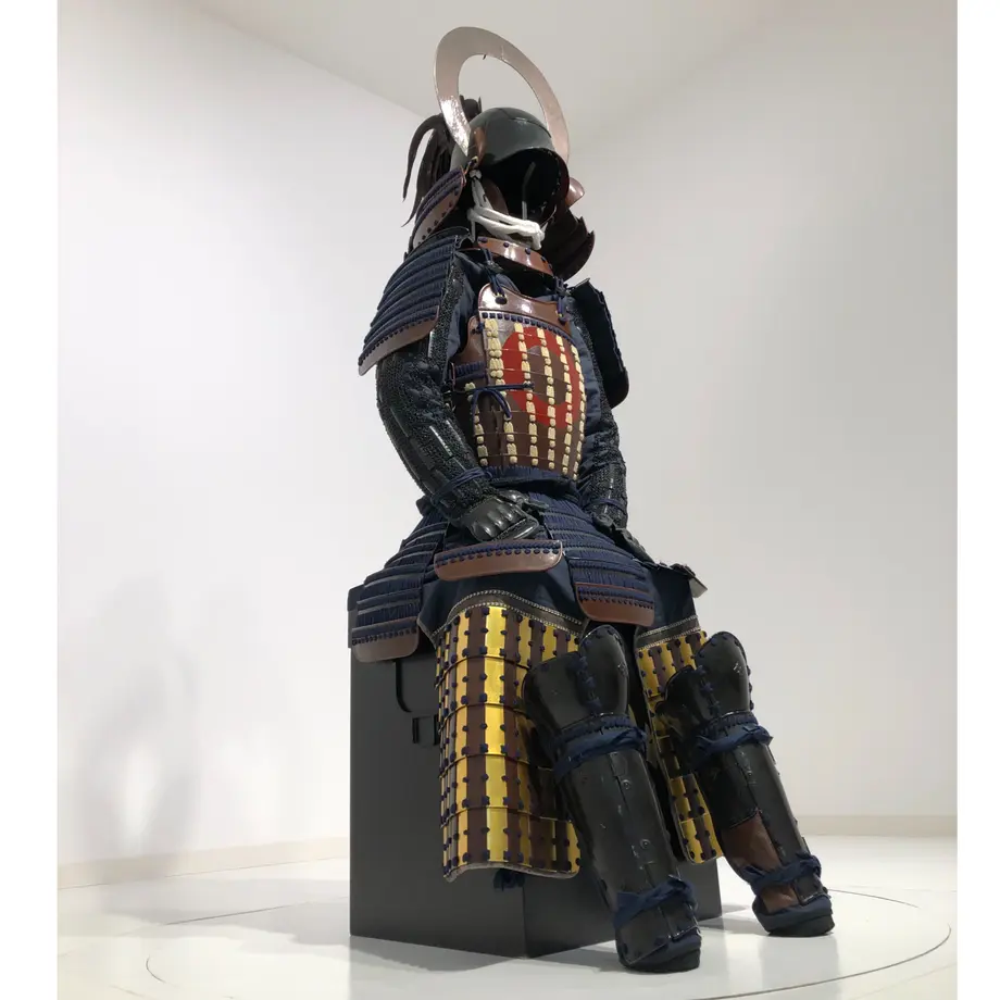 5e721b0f0fe71945e070ee01