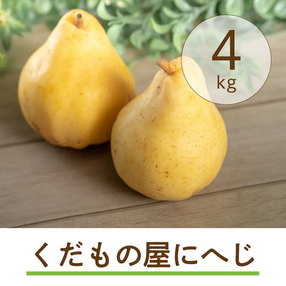 63772a3ff5197356b8cf1f55