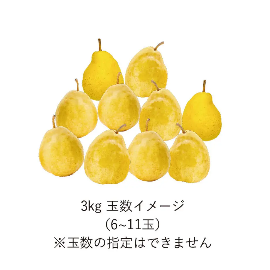 637729ea5988dc7f71074c92