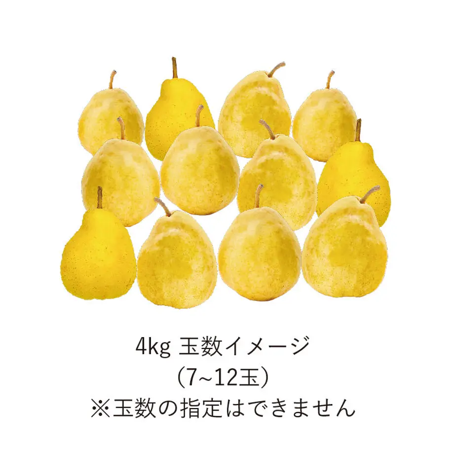 63772a3ff5197356b8cf1f55