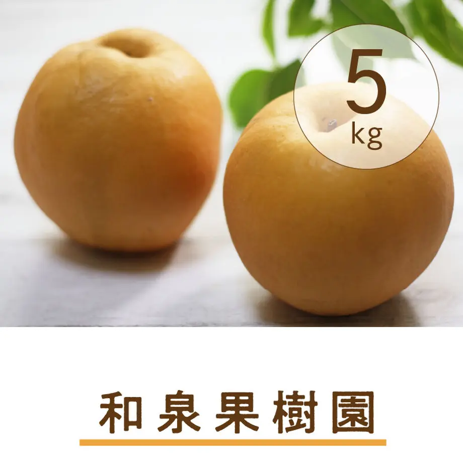 6377125f5988dc571c0748dc