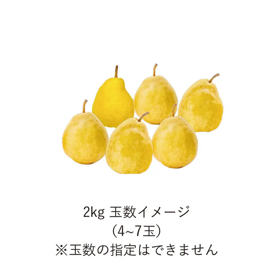 6377291ad7e1d83457511442
