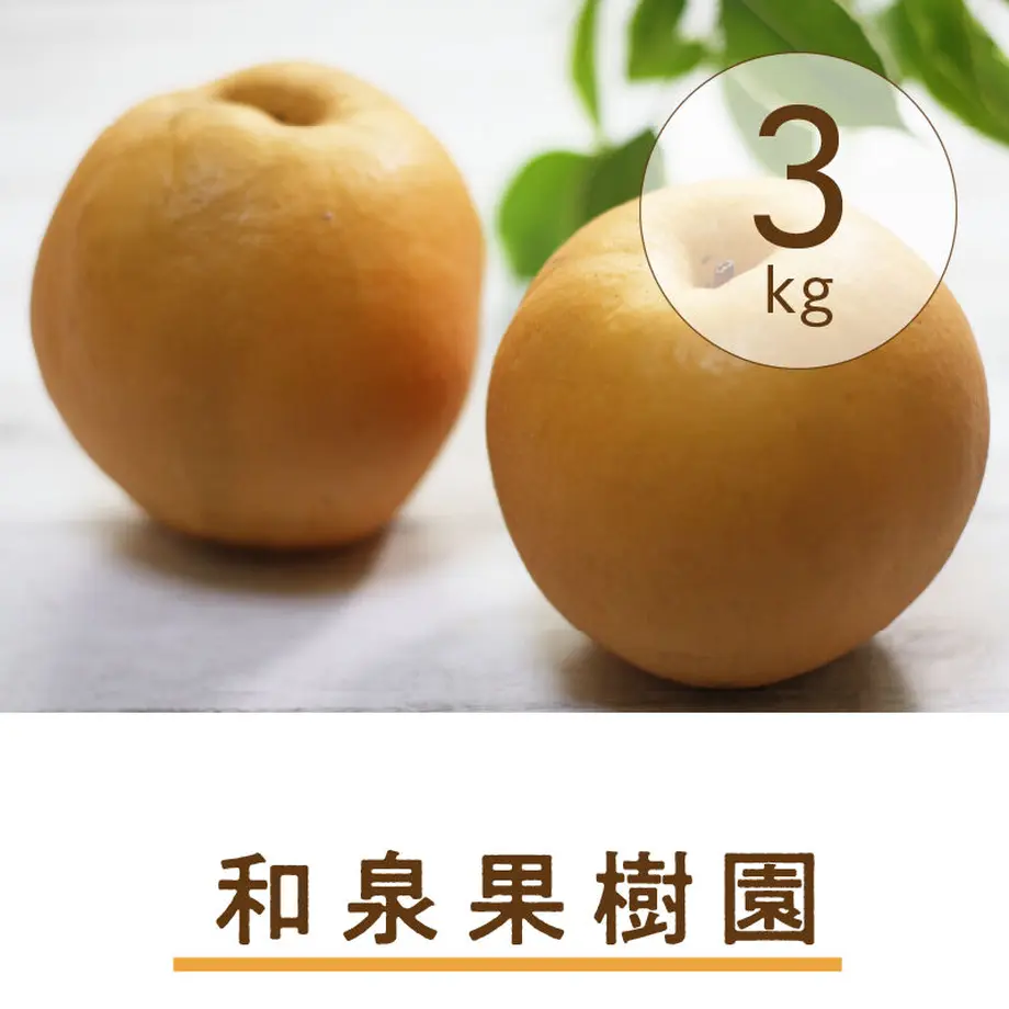 61935b109dbfee182a9056ab