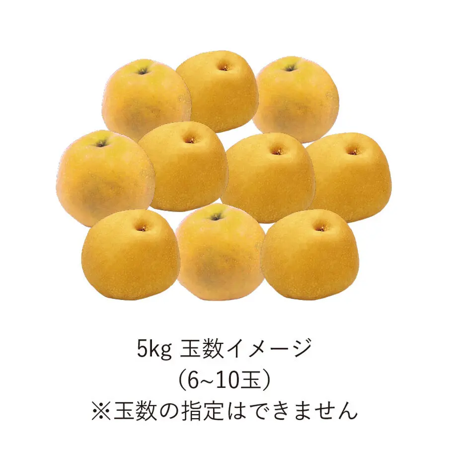63772d2a5988dc7f71074e32