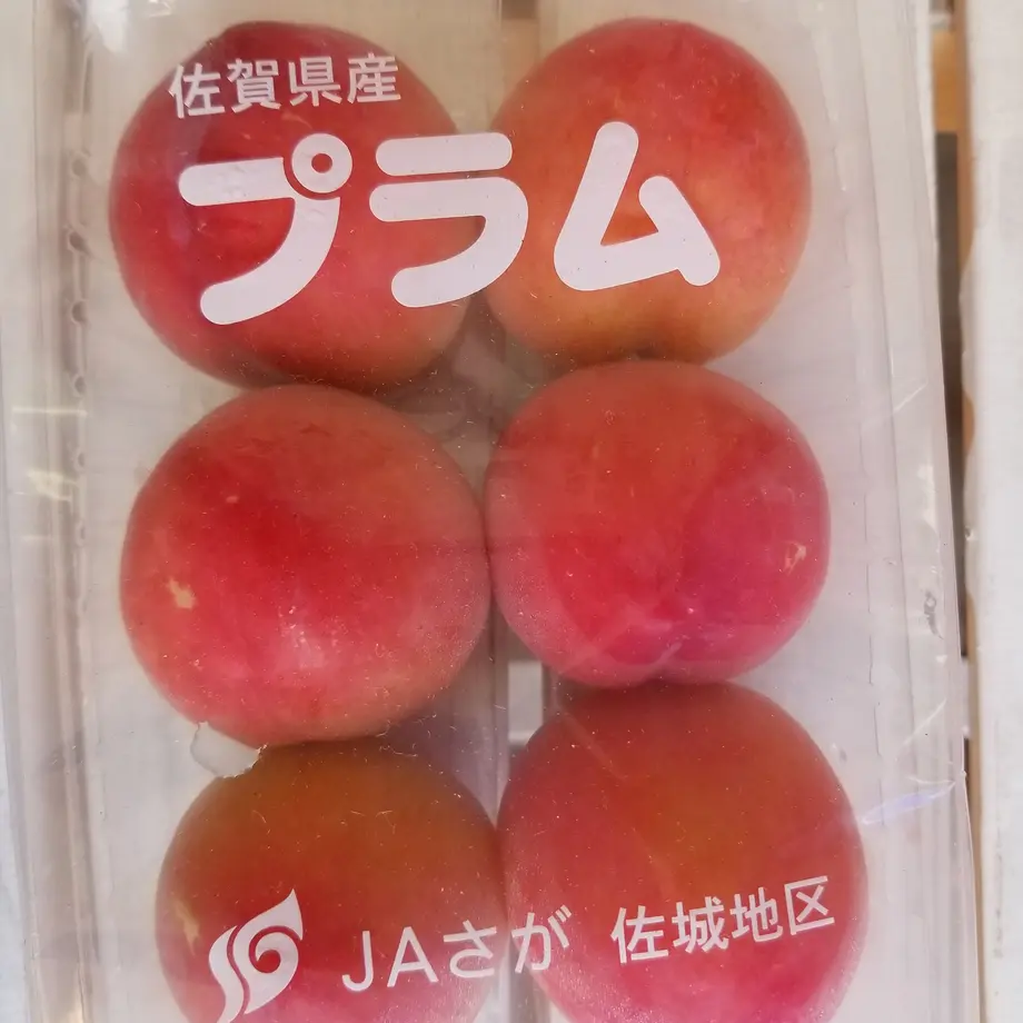 60c1d208d7e1d8289d347fac