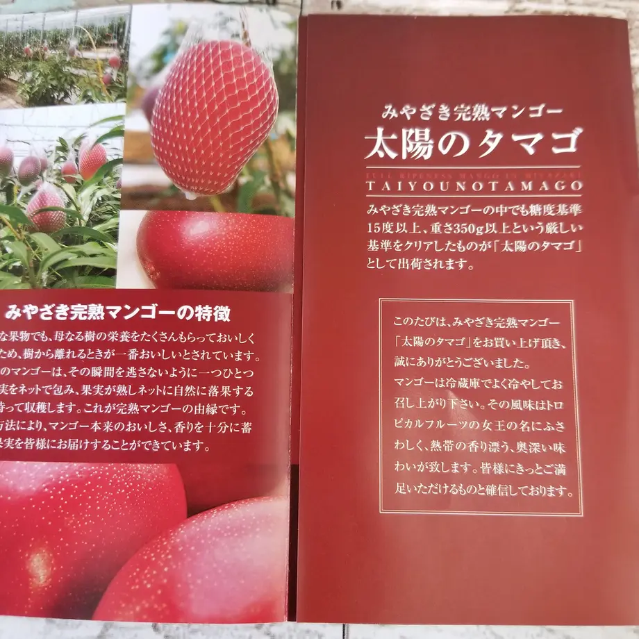 6056bcc49dbfee34584a4810