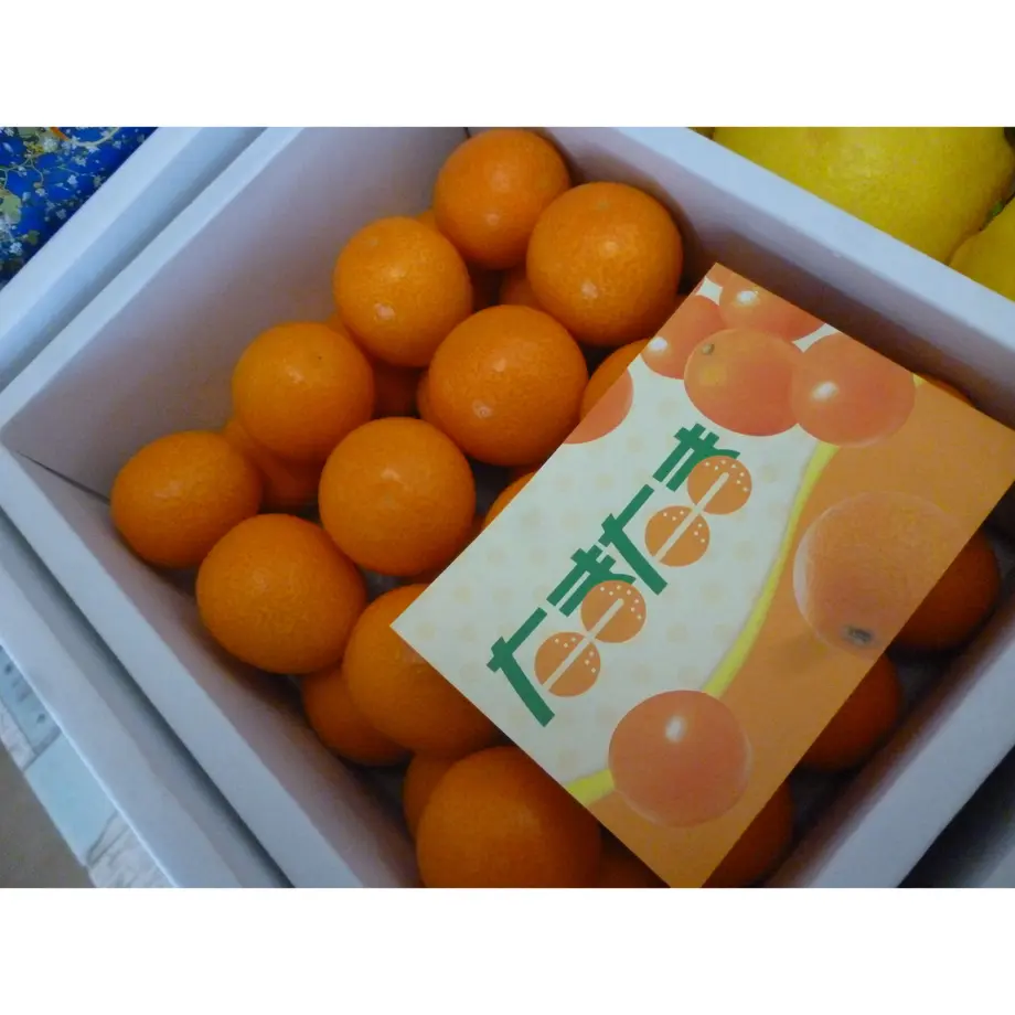 61d5353f72c5de74eeea74f7
