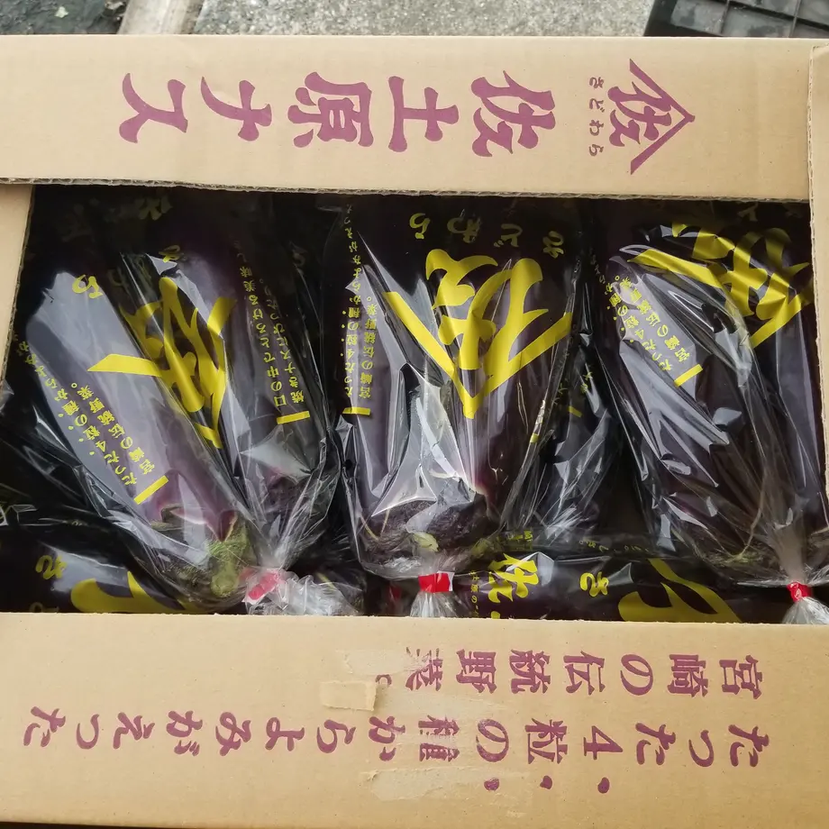 60962c5fda019c4648c0c062